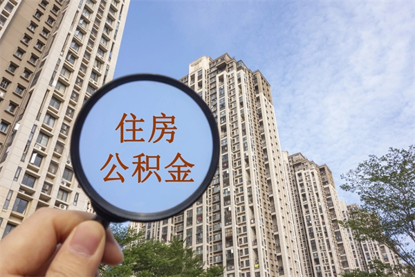 大丰公积金的提（&quot;公积金提取&quot;）